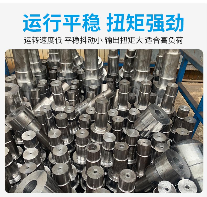 江蘇泰隆減速機股份有限公司 江蘇泰隆減速機股份有限公司